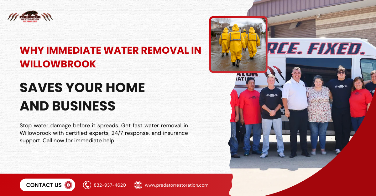 Why Immediate Water Removal in Willowbrook Saves Your Home and Business