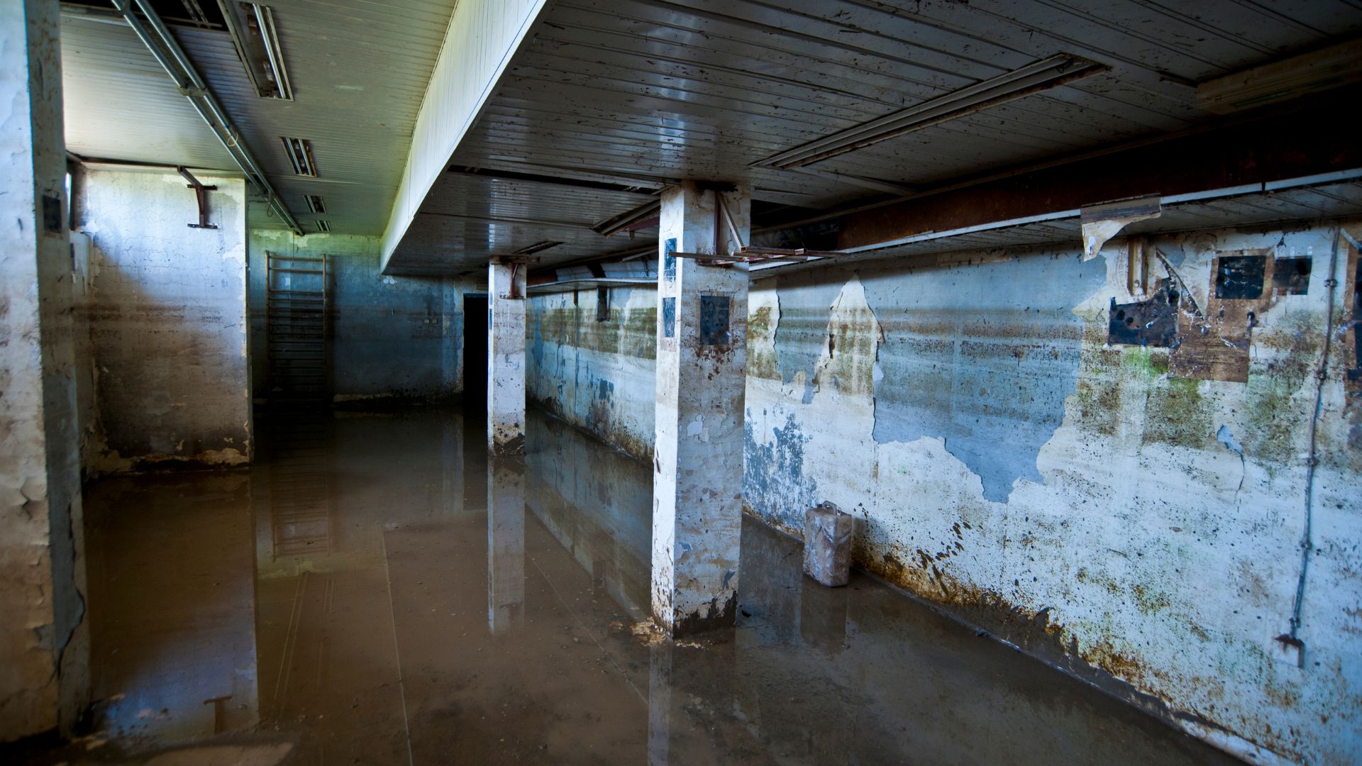 sewage backup cleanup